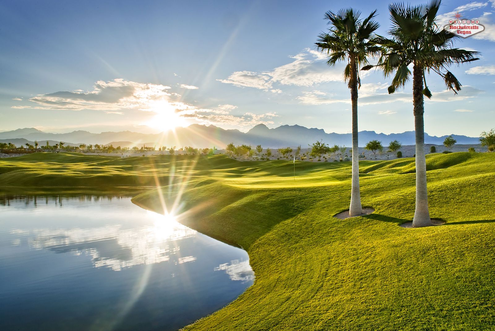 coyote-springs