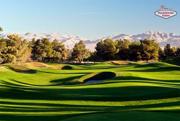 desert-pines-mountains