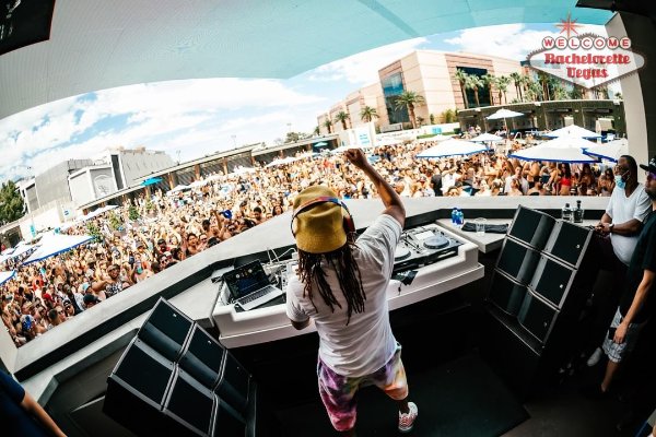 dj-palm-tree