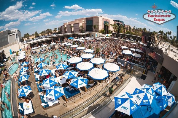 palm-tree-main-pool-deck