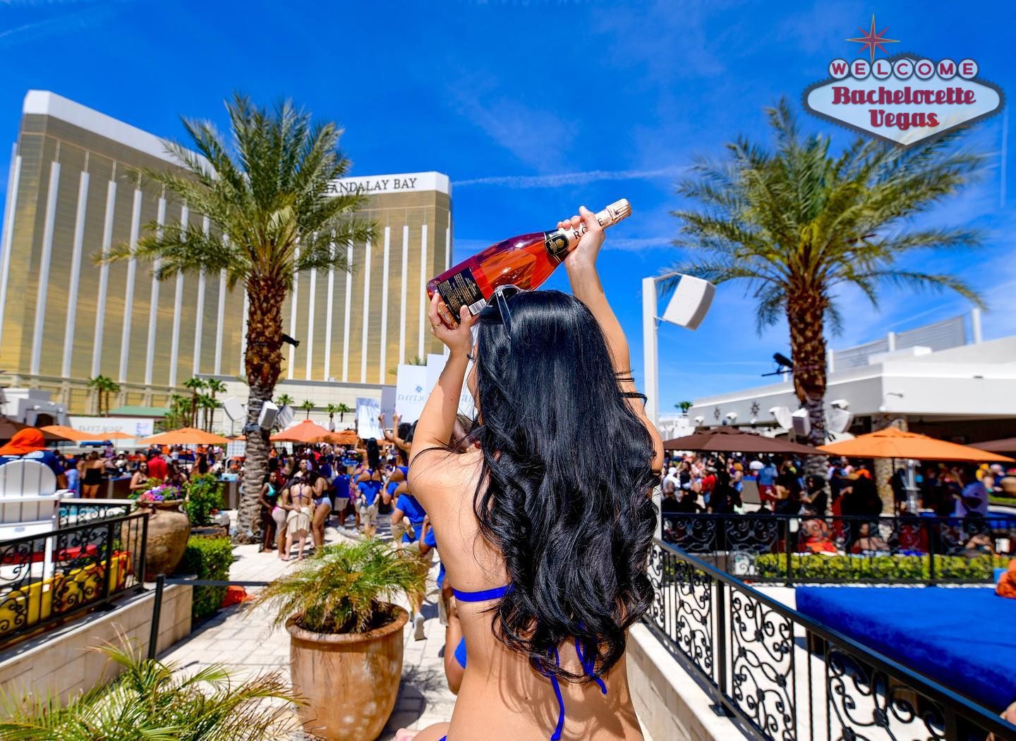 champagne bottle server