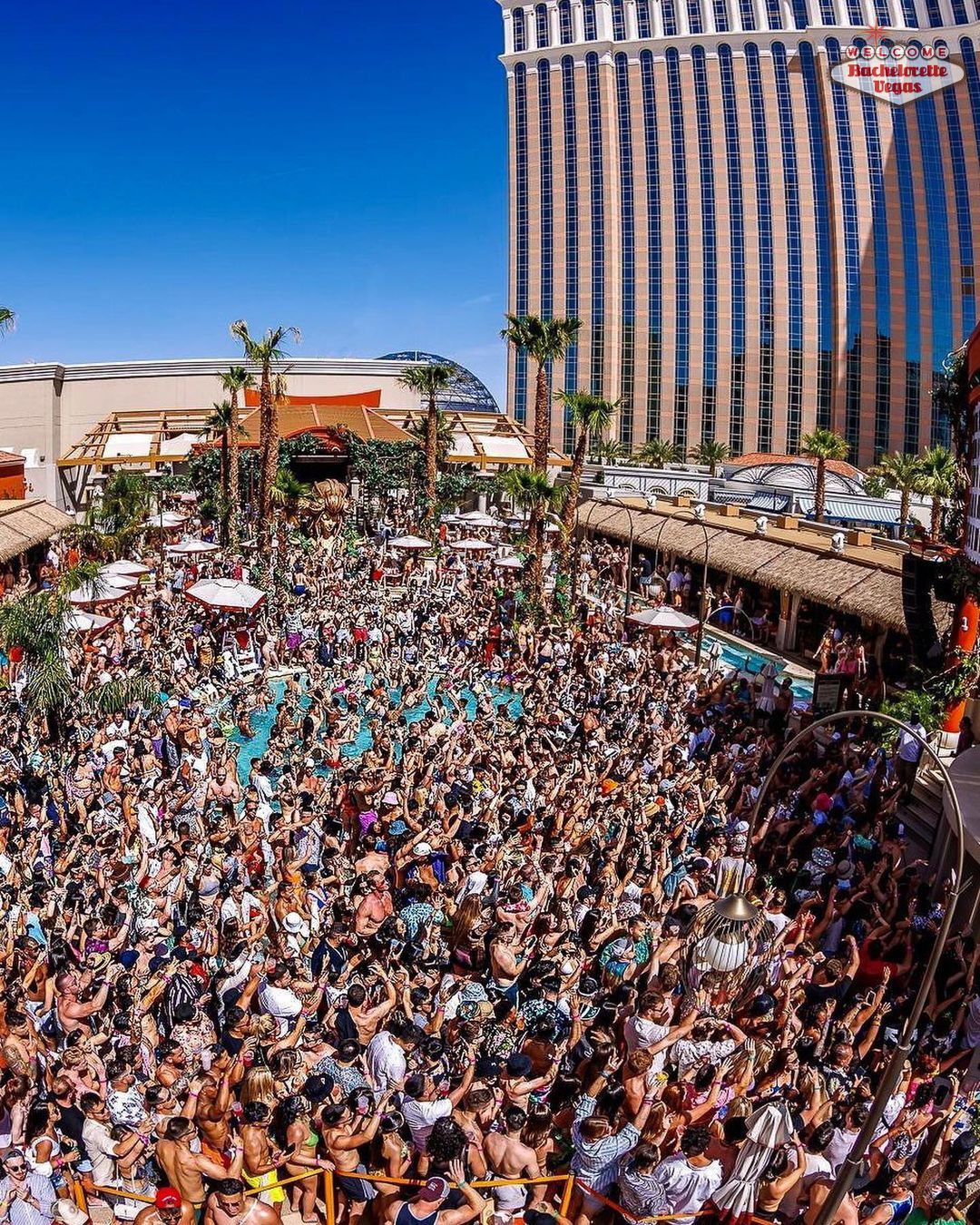 tao pool party