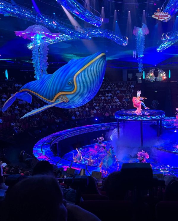whale-of-a-time