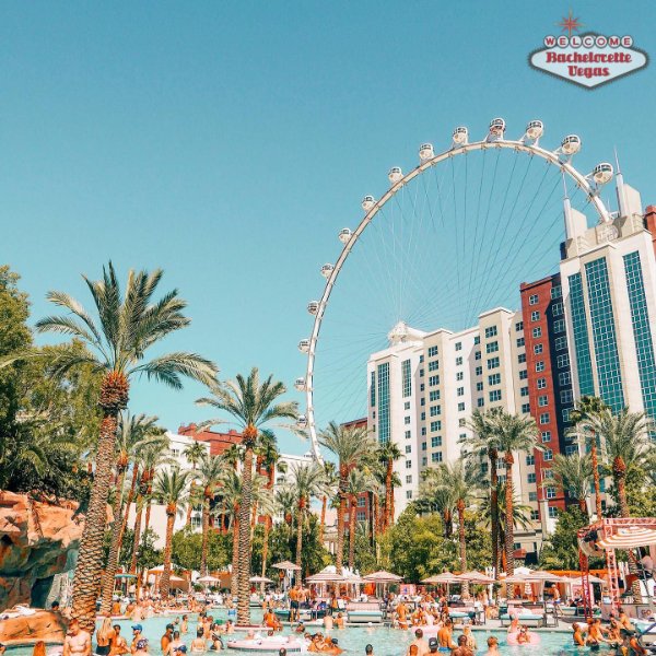 flamingo-go-pool